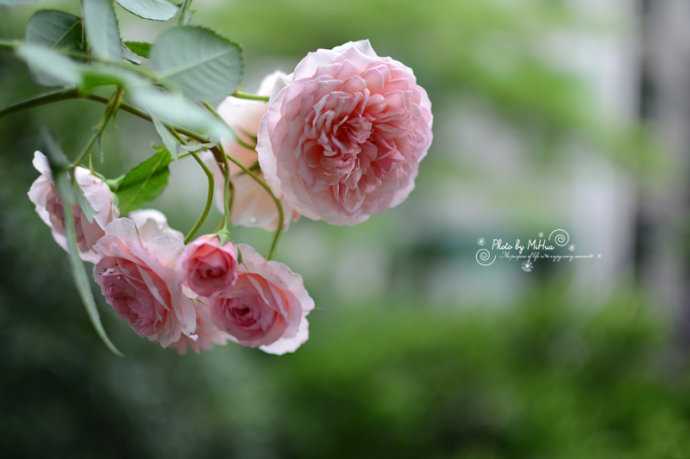 青年节出生女宝宝起什么名字比较好听