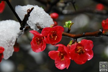 5月13号上午11点出生的女孩如何起名，起名方法