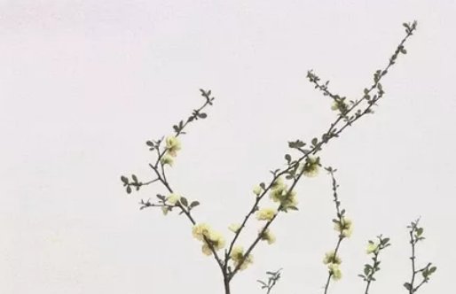 2020年7月20号五月三十生的男孩命运好吗，取什么名字好