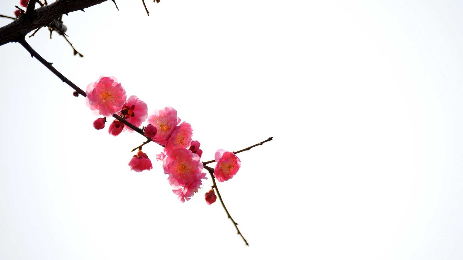 5月12号晚上10点出生的女孩如何起名，好名推荐