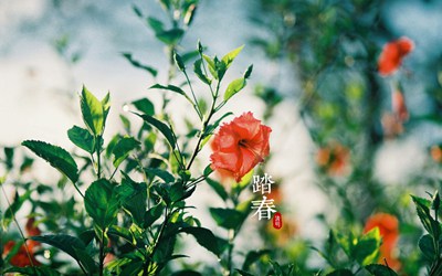 适合2020清明出生缺水男孩的好名字有哪些？