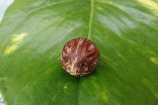 姓金鼠年宝宝的起名大全