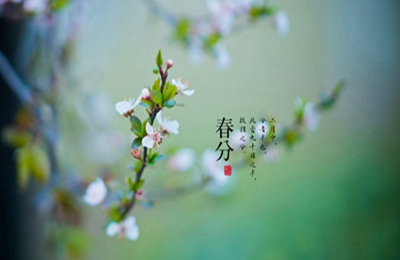 020庚子年春分生的宝宝名字带春字起名好不好？"