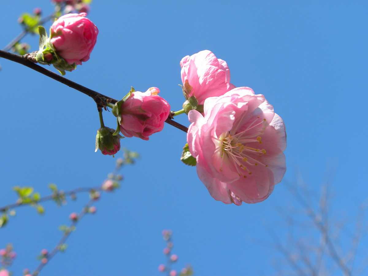 5月15号下午4点出生的女孩如何起名，起名宜用字