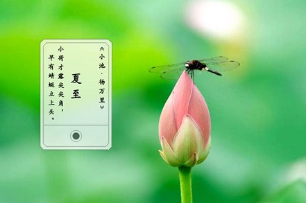 2018年夏至生女孩五行缺土起名大全