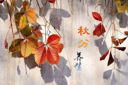 2020年八月初六秋分出生女孩八字起名,2020几点几分秋分