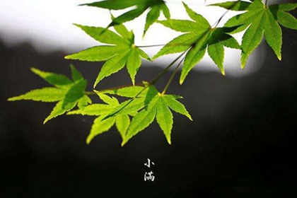 020年小满出生男孩五行缺水起名字,小满是哪一天？"