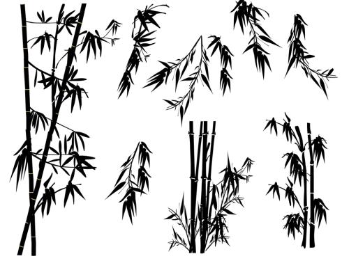 姓陆女孩高雅有诗意的名字大全