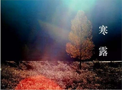 2020年寒露出生宝宝寓意前程似锦的100分名字！