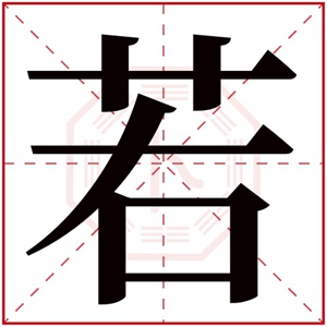 带若字大气的女孩名 带若字的女孩名字有内涵