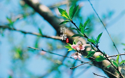 020庚子鼠年清明出生缺土男孩大气好名字"