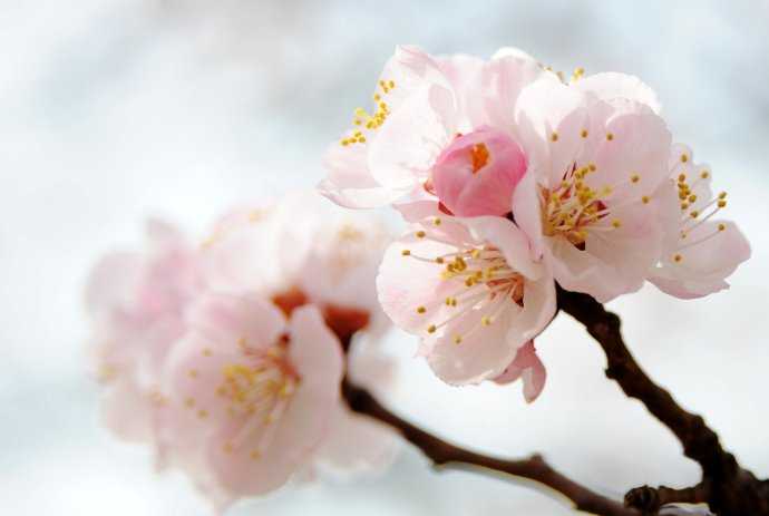 2019猪年腊八节出生女宝宝五行缺水要如何起名字