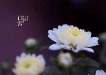 2020年白露节气出生的宝宝出自古诗的取名乳名