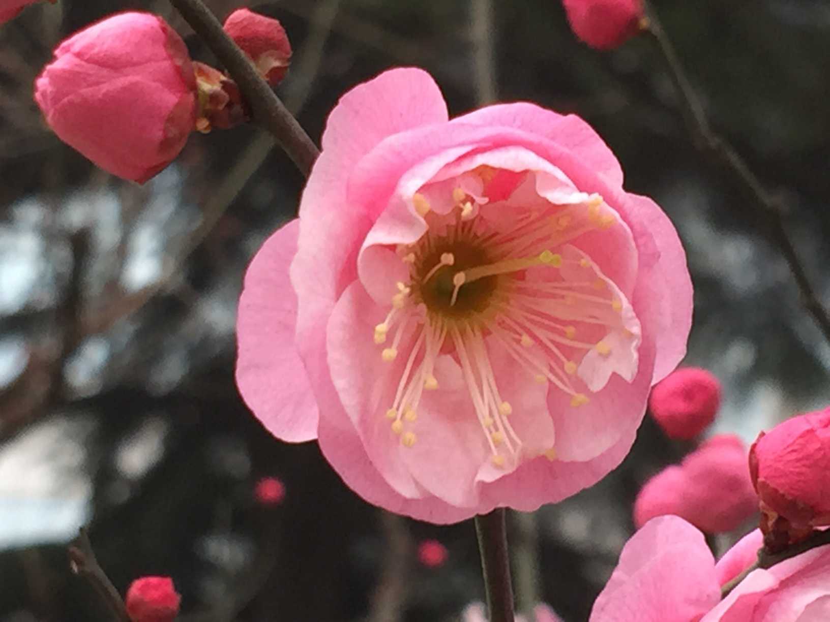 5月12号凌晨1点出生的女孩如何起名，起名方法推荐