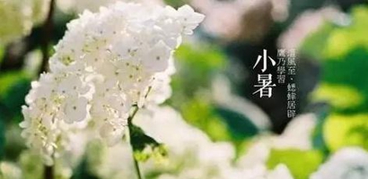 2019年小暑六月初五出的女孩五行缺金儒雅大气名字！