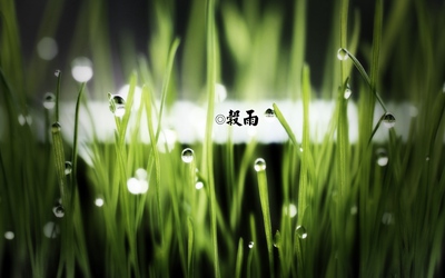 020年谷雨出生男孩五行缺金起名怎么起？"