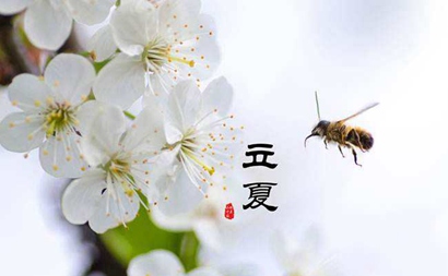 2019年立夏出生的女孩优雅有文化内涵的名字推荐！