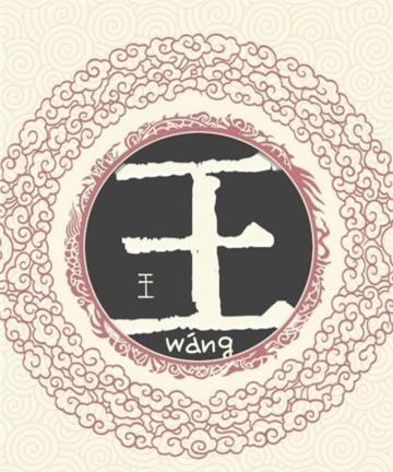 姓王的男孩有哪些好听又稀有的名字