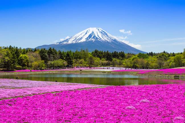 2019年5月1号傍晚出生的女宝宝取名技巧和好名推荐