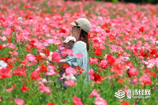 花姓男孩起名寓意好的 花姓男孩名字宝典