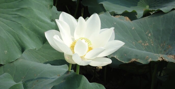 公历2019年4月26号亥时出生的女宝宝该怎么起名，宜用字又有哪些