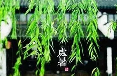 2019年处暑出生的猪宝宝好吗，处暑出生的男孩取名