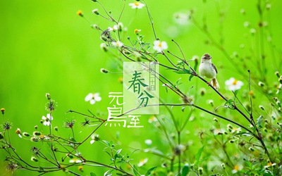 春分节气的含义，2020鼠年春分节气出生的宝宝取名乳名