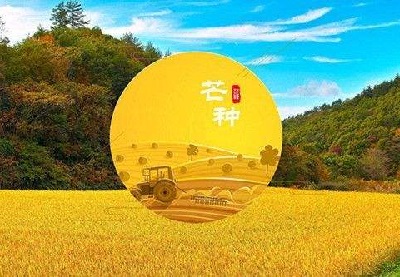 2020年芒种出生的男孩缺土取名免费男孩好名字