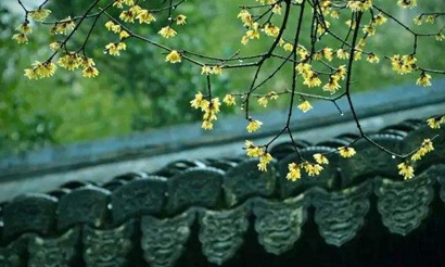 2019猪年谷雨节气出生的男孩八字缺木名字怎么起？