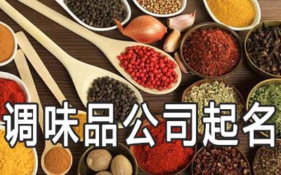 响亮的调味品公司应该怎么起名