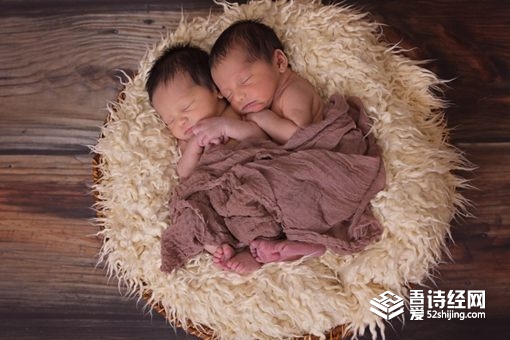 王姓女孩有涵养的名字