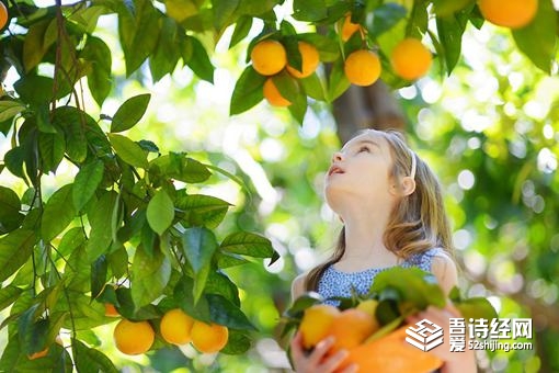 齐姓女孩名字100分 齐姓女孩排分高的名字