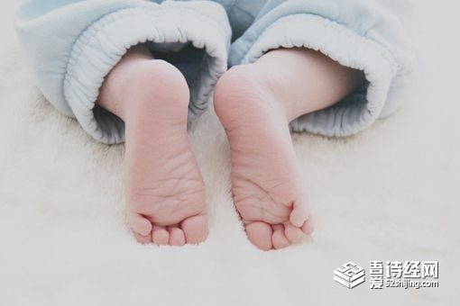 带木字旁的女孩名字 木字旁女孩起名大全