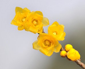 5月13号早上7点出生的女孩如何起名，有哪些好名