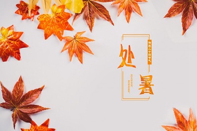 2020鼠年处暑出生宝宝起名怎么起比较好？