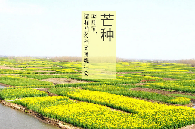 2019年芒种出生男宝宝如何起名，五行属什么