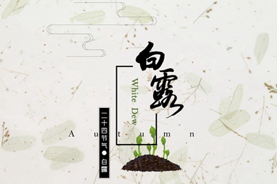 020年白露出生的男孩起名能用什么字最好？"