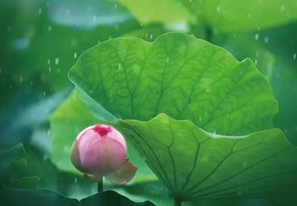 2020年6月21日夏至出生的生辰八字男孩取名！