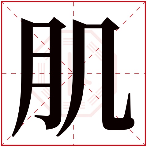 肌字五行属什么 肌字在康熙字典里多少画 肌字起名的寓意含义