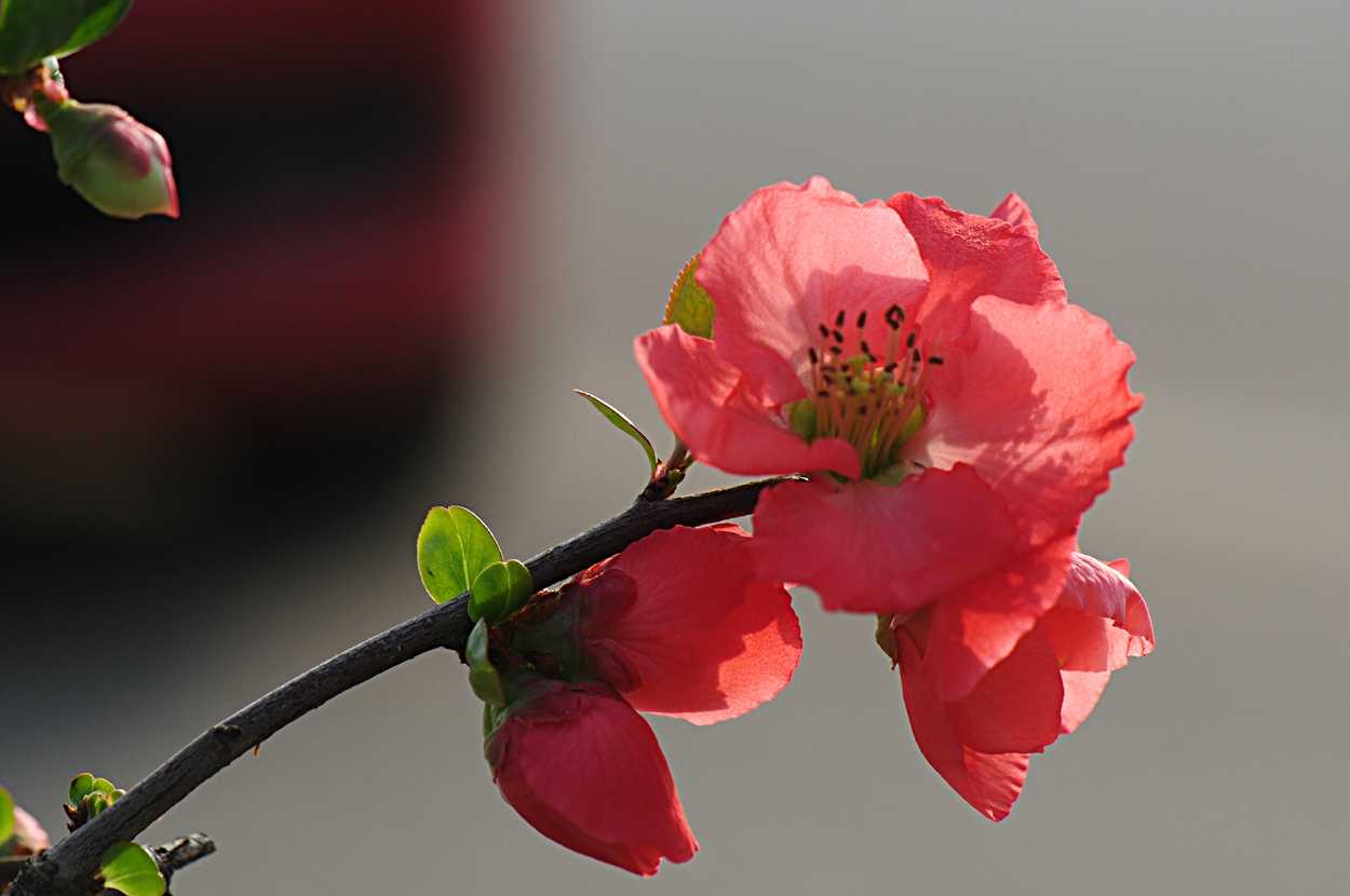 5月16号晚上10点出生的女孩如何起名，好名推荐