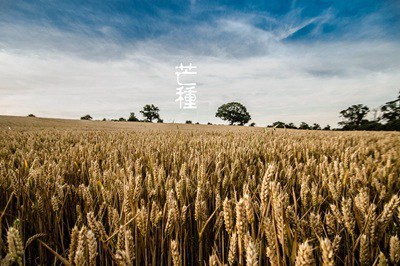 2020年芒种出生缺木男孩取名字起名的字有什么？