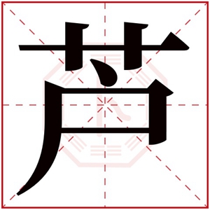 芦字的女孩名字洋气 女孩名字芦后配什么字好