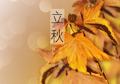 2019年立秋8月8日出生属猪男孩八字缺木起名宜用字解析！