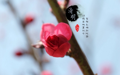 020庚子鼠年清明出生缺土男孩大气好名字"