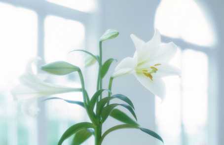 中秋节出生的女宝宝格好吗，起什么名字好听