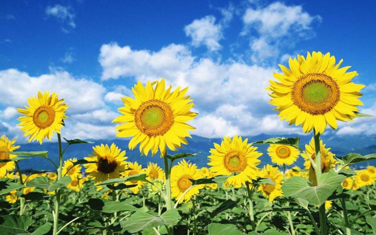 中秋节出生的男宝宝起名带什么字好，用哪些字比较合适