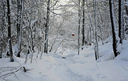 2020大雪八字取名：2020年12月7日大雪出生女孩五行起名
