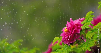2019猪年谷雨节气出生的女孩五行缺金起名