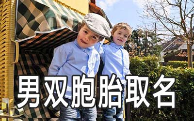适合男双胞胎取名的成语有哪些