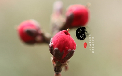 020年清明节气出生缺土的女孩起名宜用字"